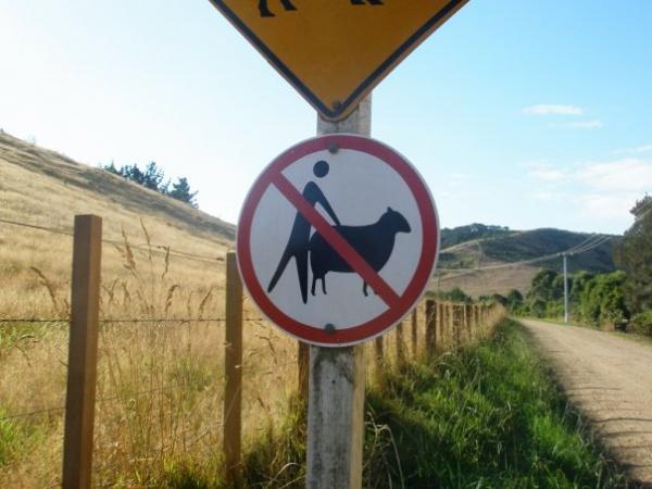 Please don't sodomize the cattle.